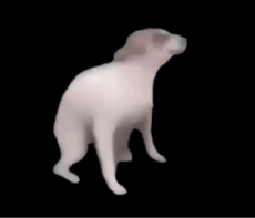 DancingDog